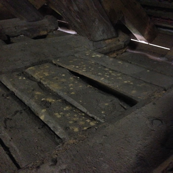 Holzwurmbefall an der Zwischendecke des Kirchenschiffs